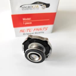Radiator Cap