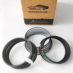 Piston Ring