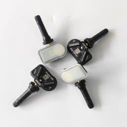 Tire Pressure Monitoring System