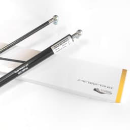 GAS SPRING