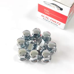 Wheel Nut