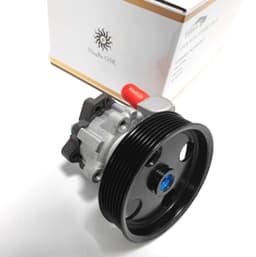 Steering Aid Pump