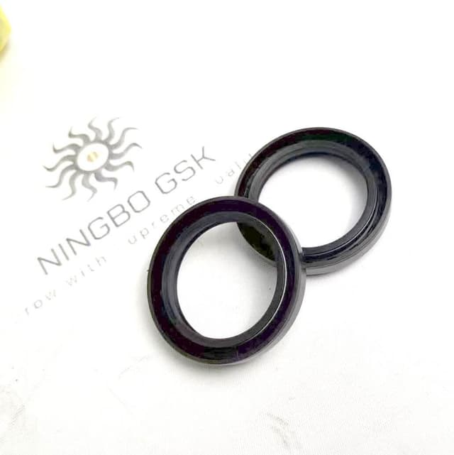 Oil Seal
